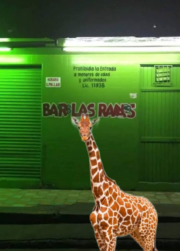 Jirafa en Culiacán