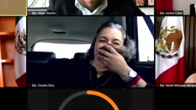 Diputada Claudia Silva en sesión