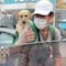 Limpiaparabrisas trabaja cargando a su perrito
