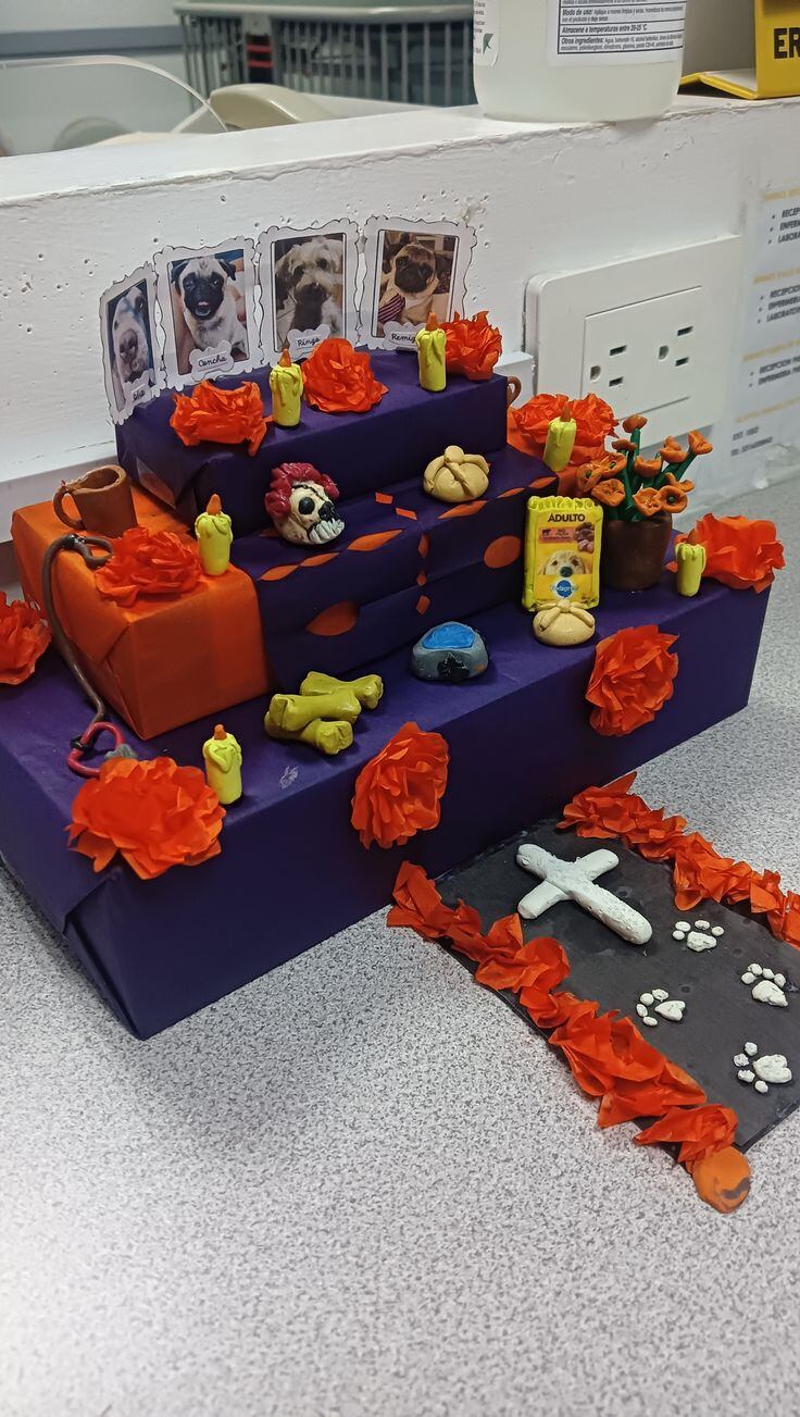 8 elementos que no pueden faltar en la ofrenda para mascotas de Día de Muertos