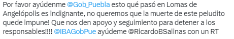 Denuncian a Key y Gaby de la Factoría por maltrato animal.