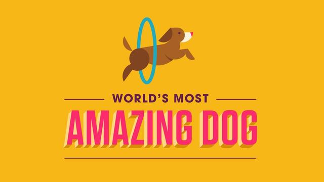 World’s Most Amazing Dog