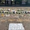 Axe Ceremonia 2025: Fotógrafos y periodistas protestan hoy domingo 6 de abril para exigir justicia por muertes de Berenice y Miguel Ángel, frente a Parque Bicentenario