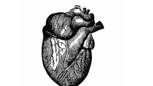 Aprende a cuidar tu corazón, venas y arterias con una buena alimentación.