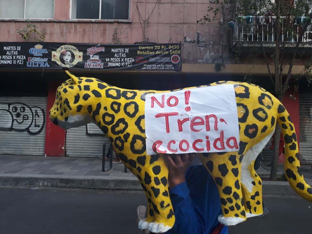 Marcha por Samir Flores.