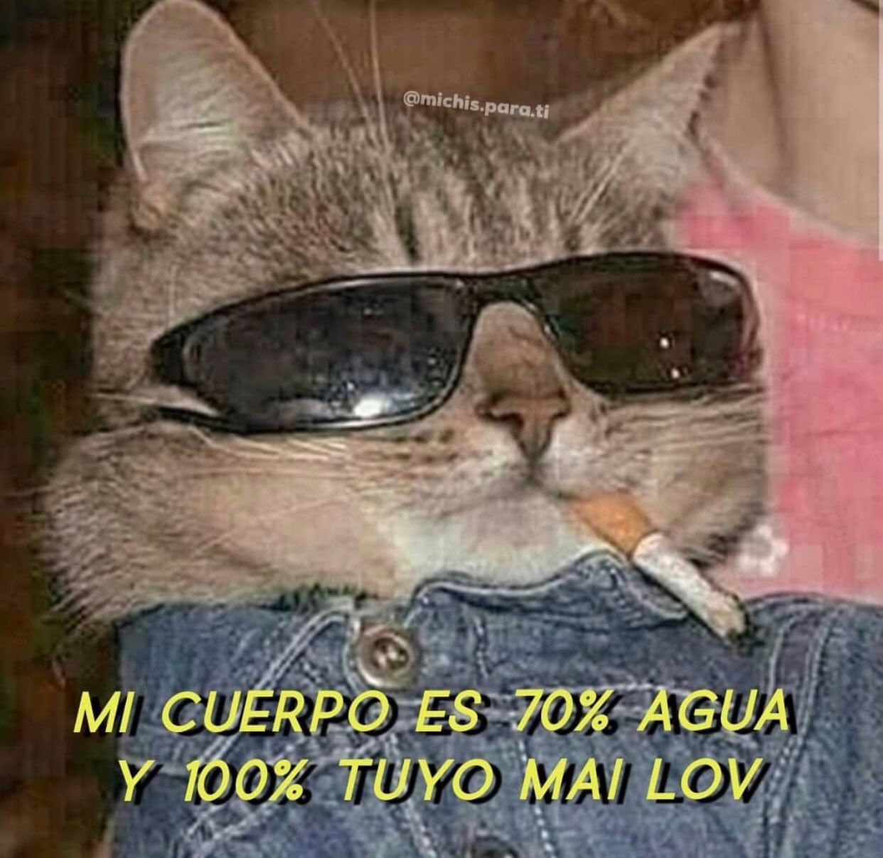 Memes de San Valentín para enviarle a tu pareja