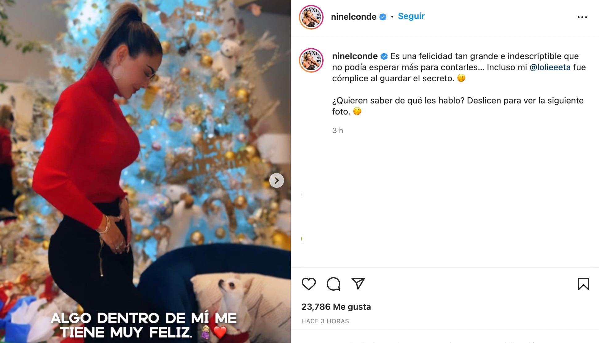 Ninel Conde muestra sospechosa 'pancita'