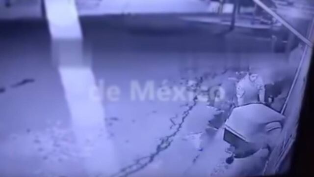 Un hombre se robó la casa de un perro