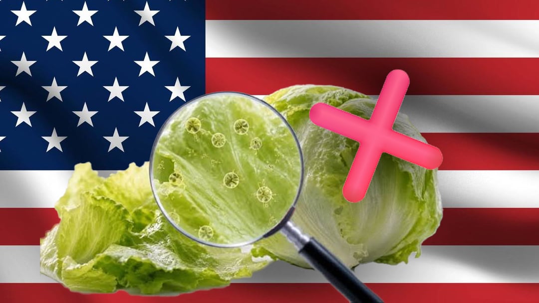 Estados Unidos descarta Cyclospora en lechugas de México