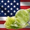 Estados Unidos descarta Cyclospora en lechugas de México tras investigación