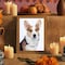 ¿Cuándo llegan las mascotas en Día de Muertos? Esta es la fecha para poner su ofrenda y altar