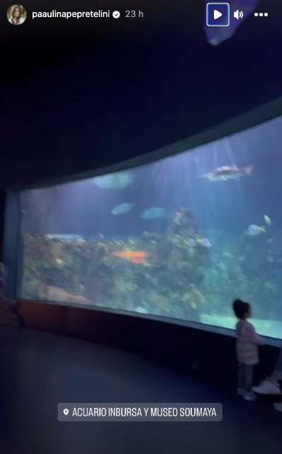 Instagram Storie de Paulina Peña en el Acuario Inbursa