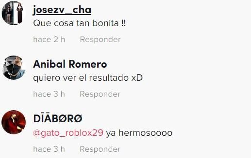 Comentarios