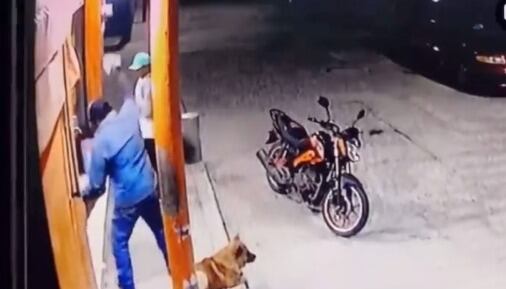 Golpea con ladrillo a perro