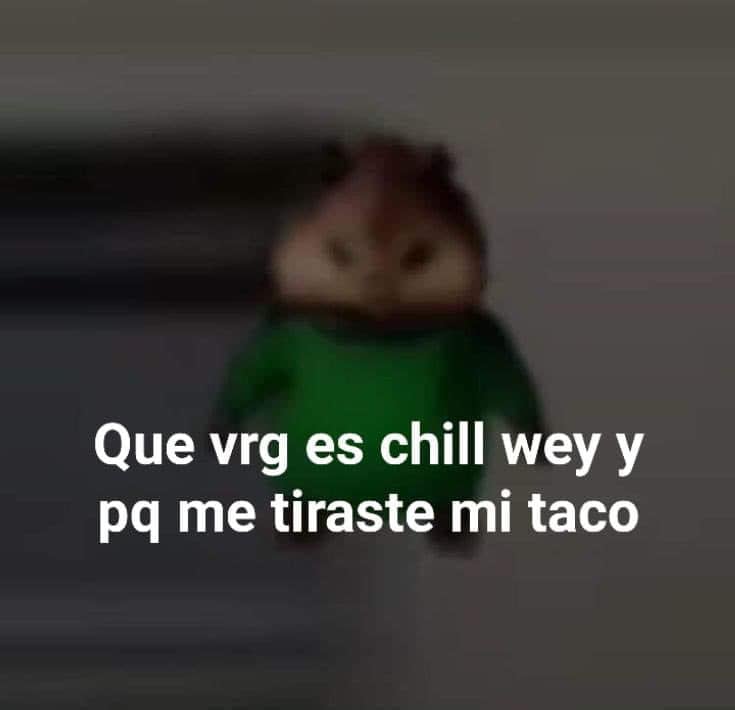 Memes "de chill",  frase tendencia en TikTok