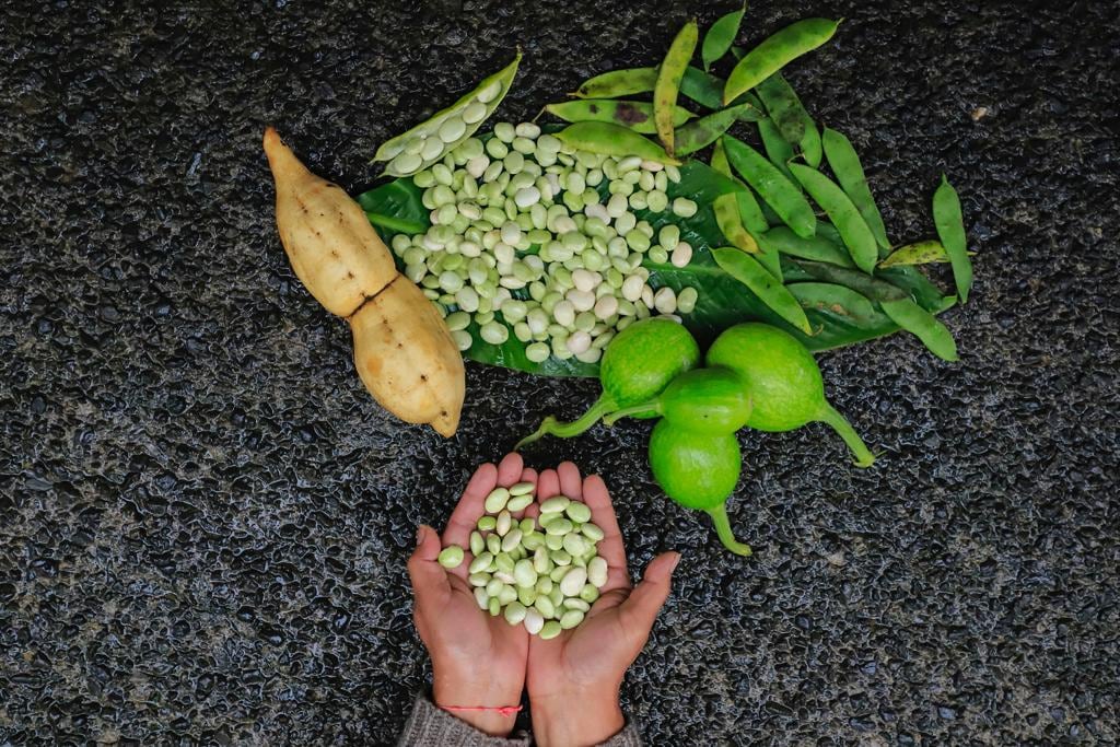 Ingredientes de la Sierra Norte de Puebla