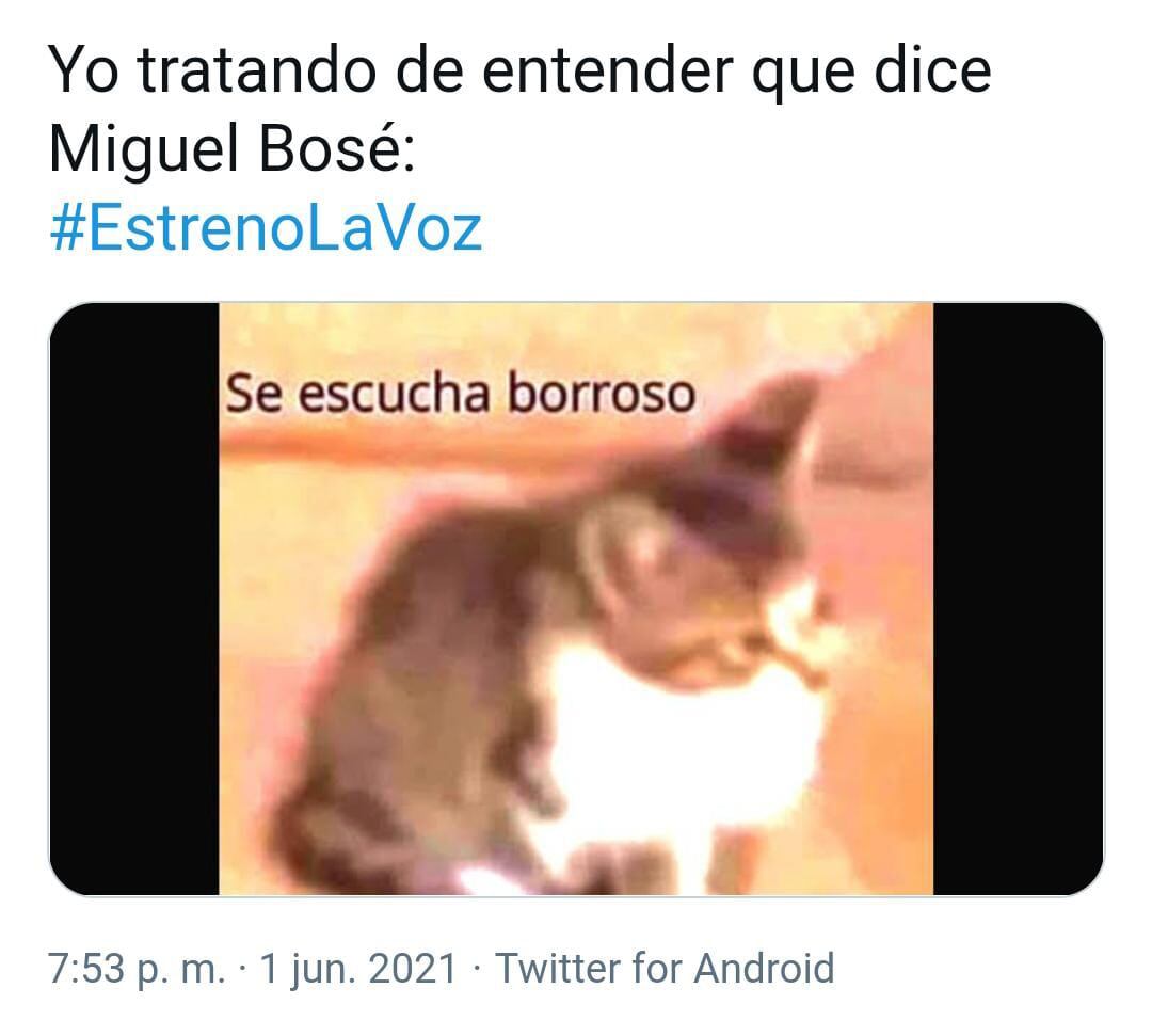 Meme Miguel Bosé