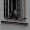 La mujer de la casa abandonada: La historia de Margarida Bonetti que indigna a Brasil