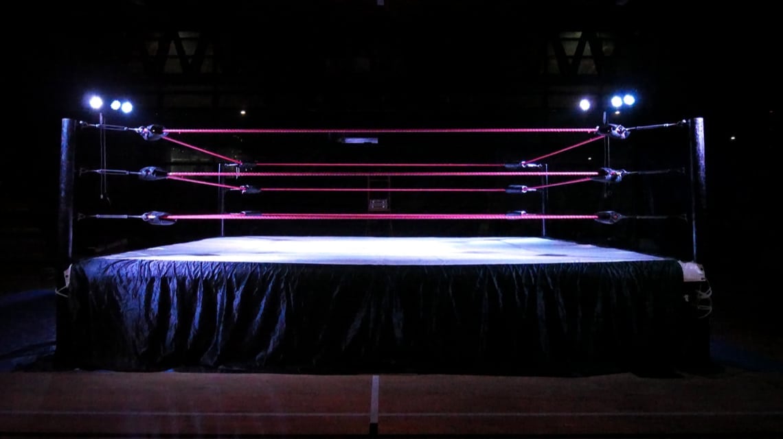 Lucha Libre: Seguro social para luchadores, la propuesta del Partido Verde