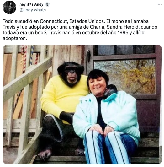 Charla Nash, la mujer a la que un chimpancé le destrozó la cara