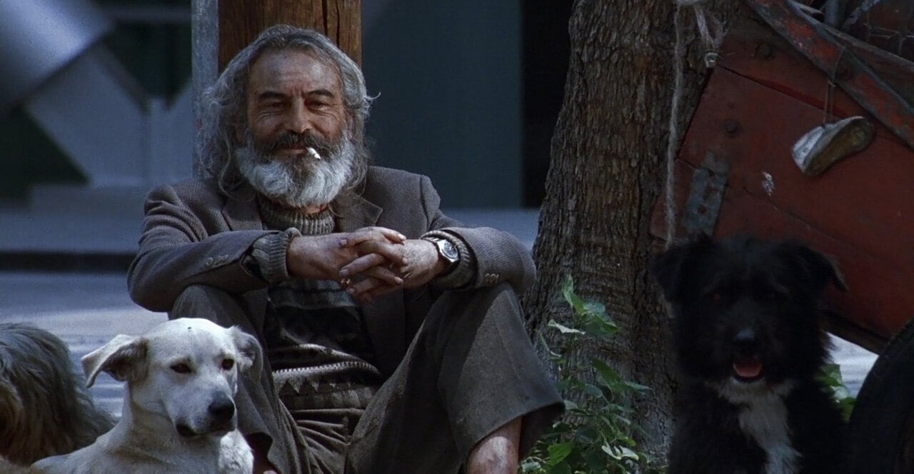 Amores Perros