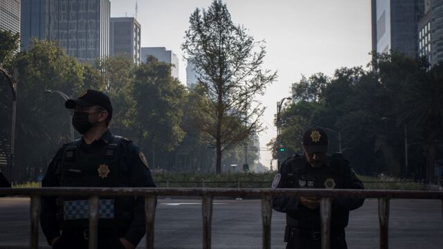 Ahuehuete en la Antigua Glorieta de la Palma