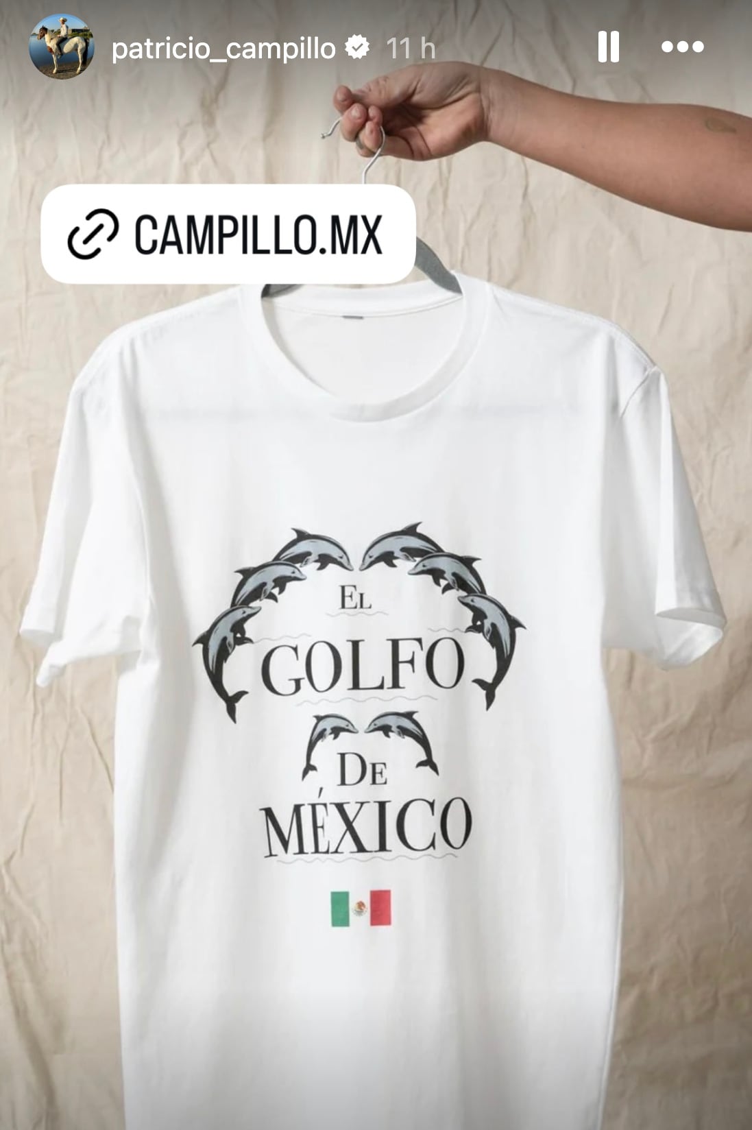 Playera del Golfo de México de Patricio Campillo