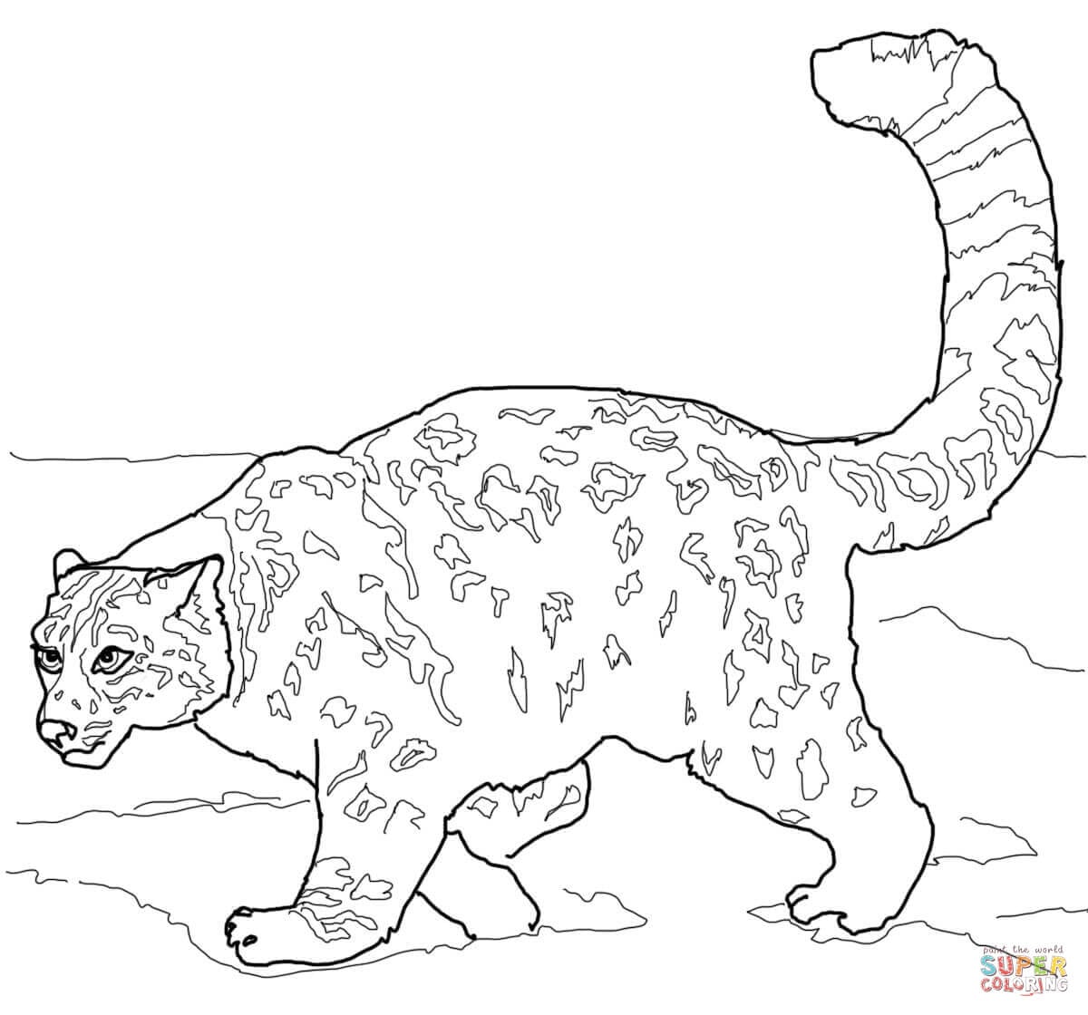 Dibujo Día Internacional del leopardo de la nieve