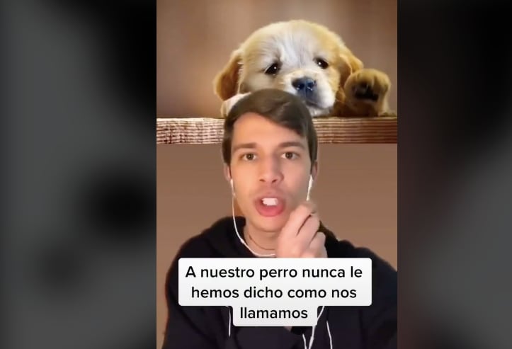 ¿Ya le dijiste a tu perro cómo te llamas? En TikTok muestran qué pasa cuando lo haces