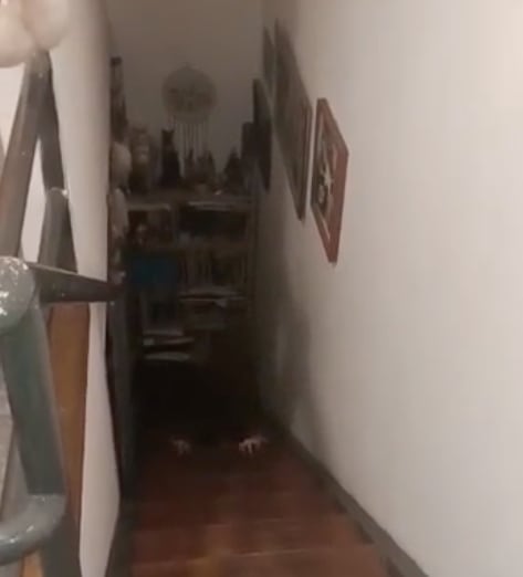 Par de manos se arrastran