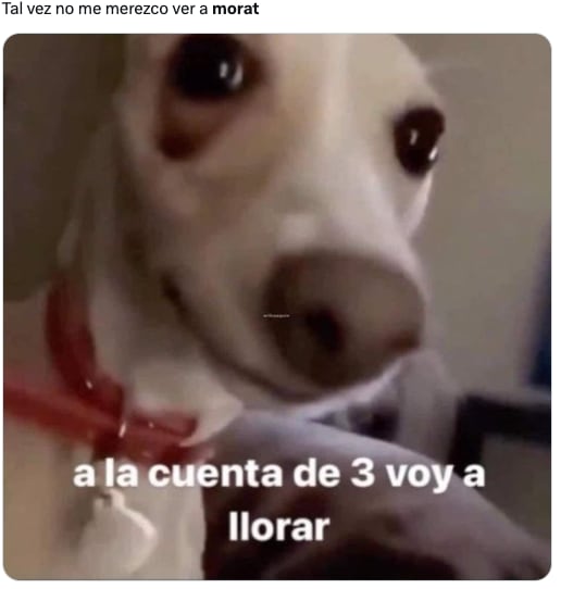 Se agotaron los boletos de Morat y los memes no podían faltar