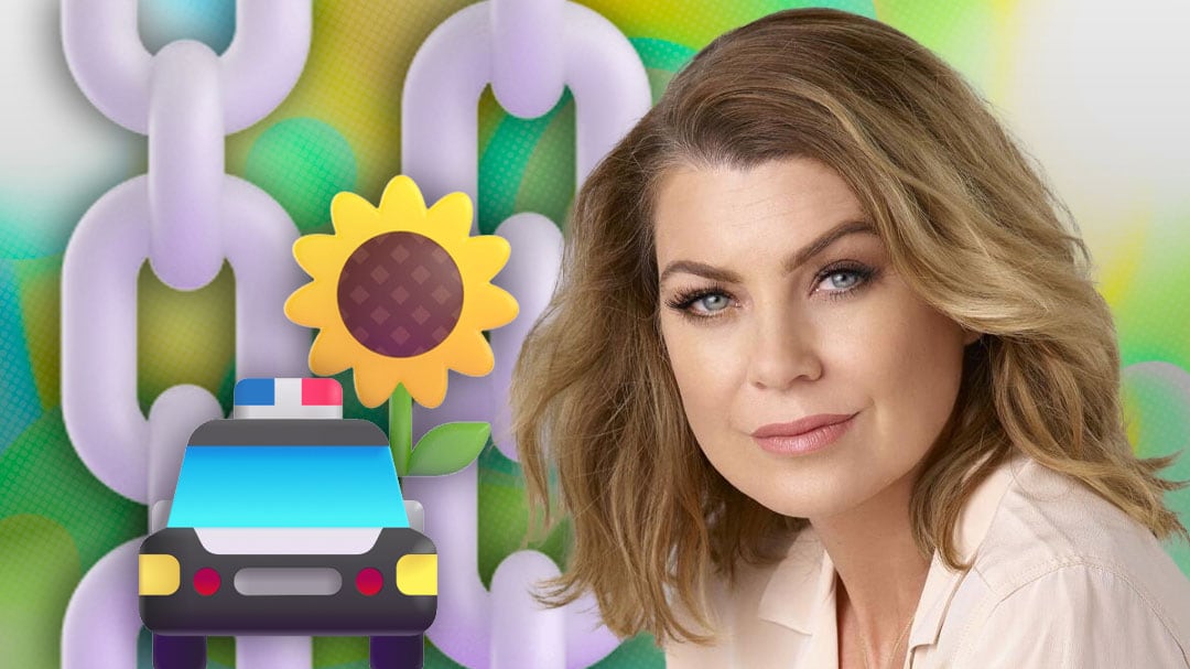 Ellen Pompeo, de Grey’s Anatomy, fue detenida por amenaza de bomba y unas semillas de girasol