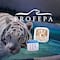 Tigre Kenzo: Profepa y UNAM anuncian fecha para dar a conocer las causas de su muerte