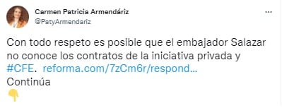 Tuit de Patricia Armendáriz