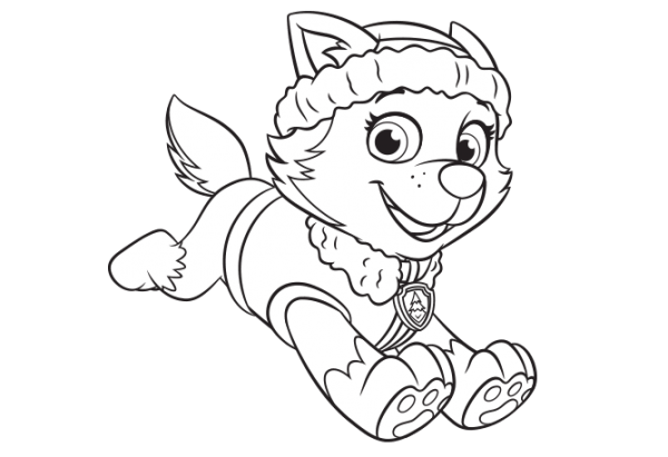 Dibujos de Skye y Everest de Paw Patrol