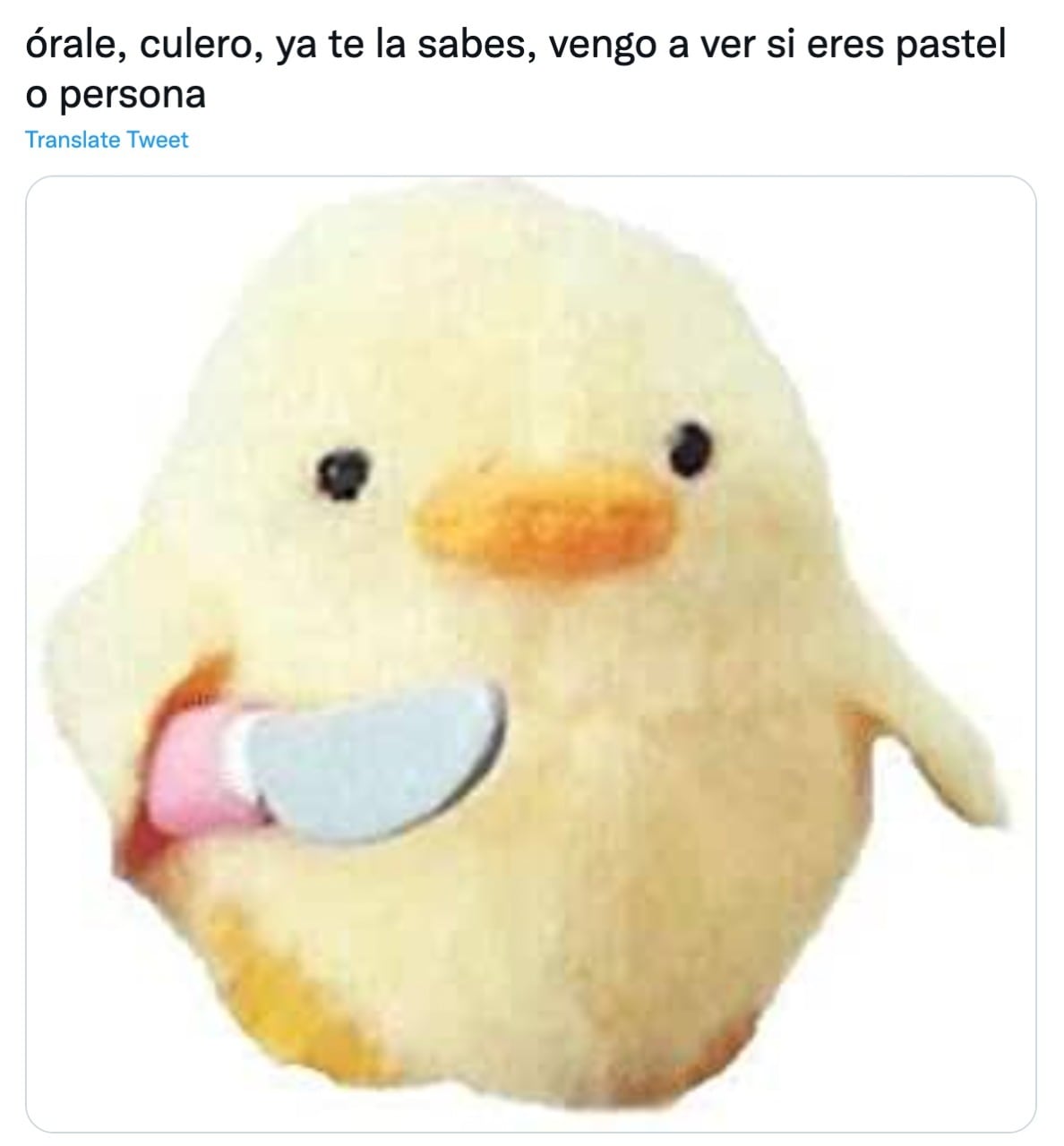 Memes de ¿Pastel o persona?