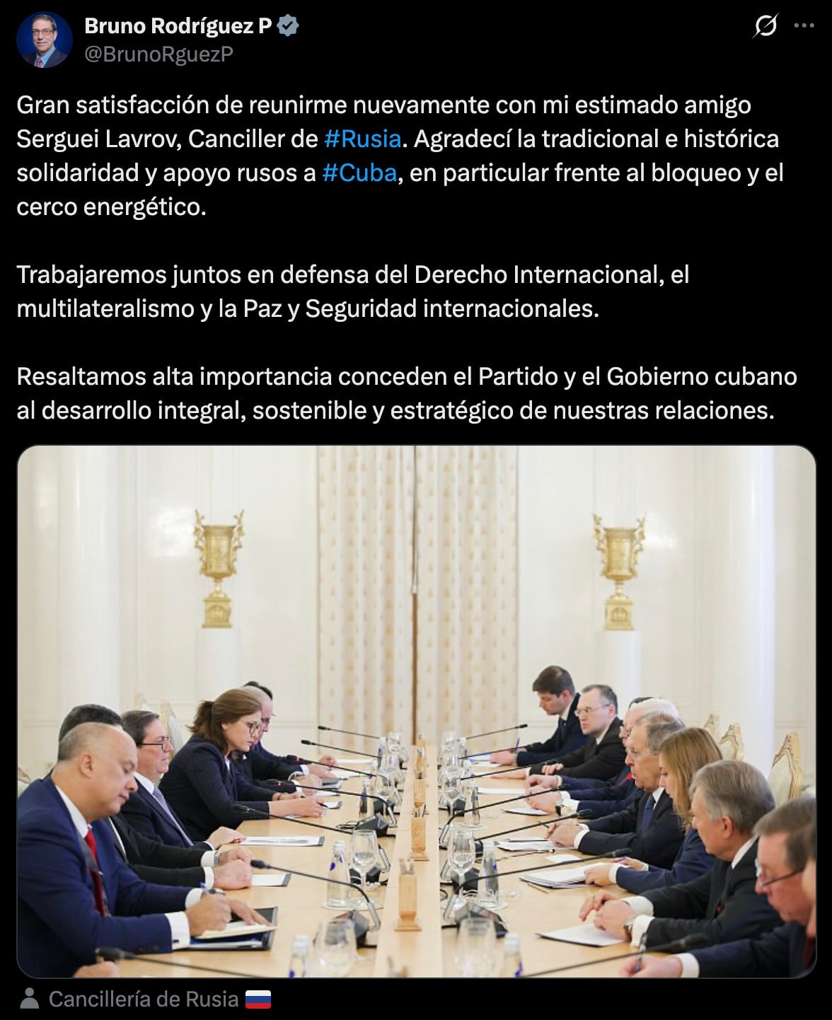 Ministro de Relaciones Exteriores de Cuba se reunió con Vladimir Putin