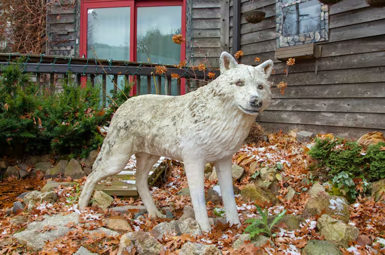 Airbnb que parece inspirado en películas de Tim Burton