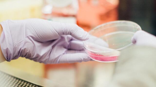 Cáncer de páncreas, "urgencia sanitaria de primer orden”.