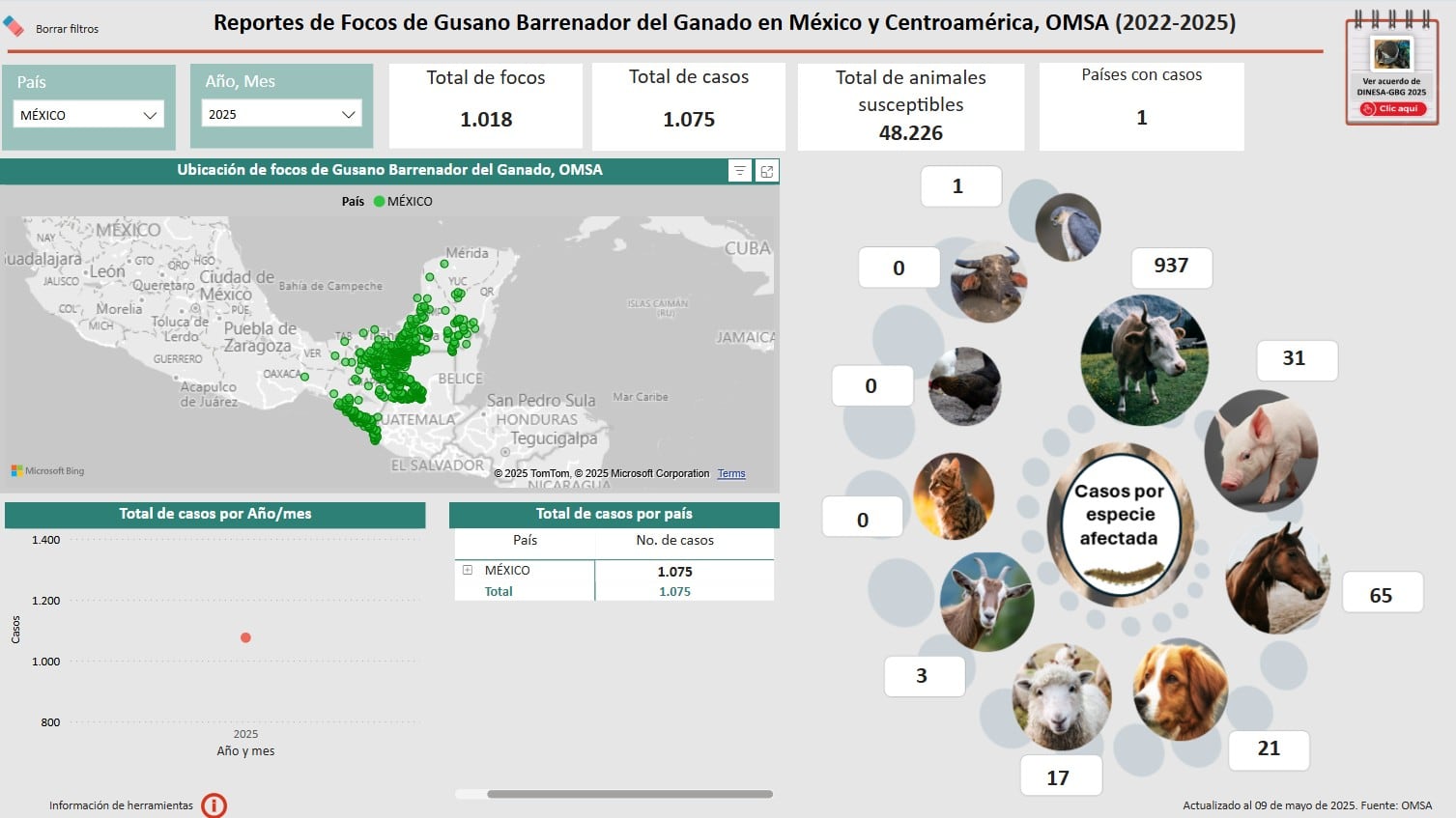 Gusano barrenador en México