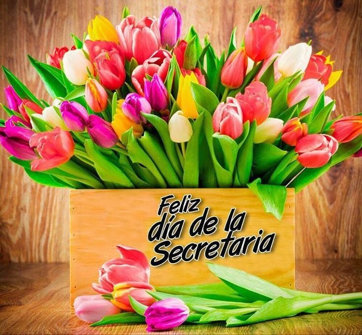 Imágenes para mandar por WhatsApp este Día de la Secretaría 2024