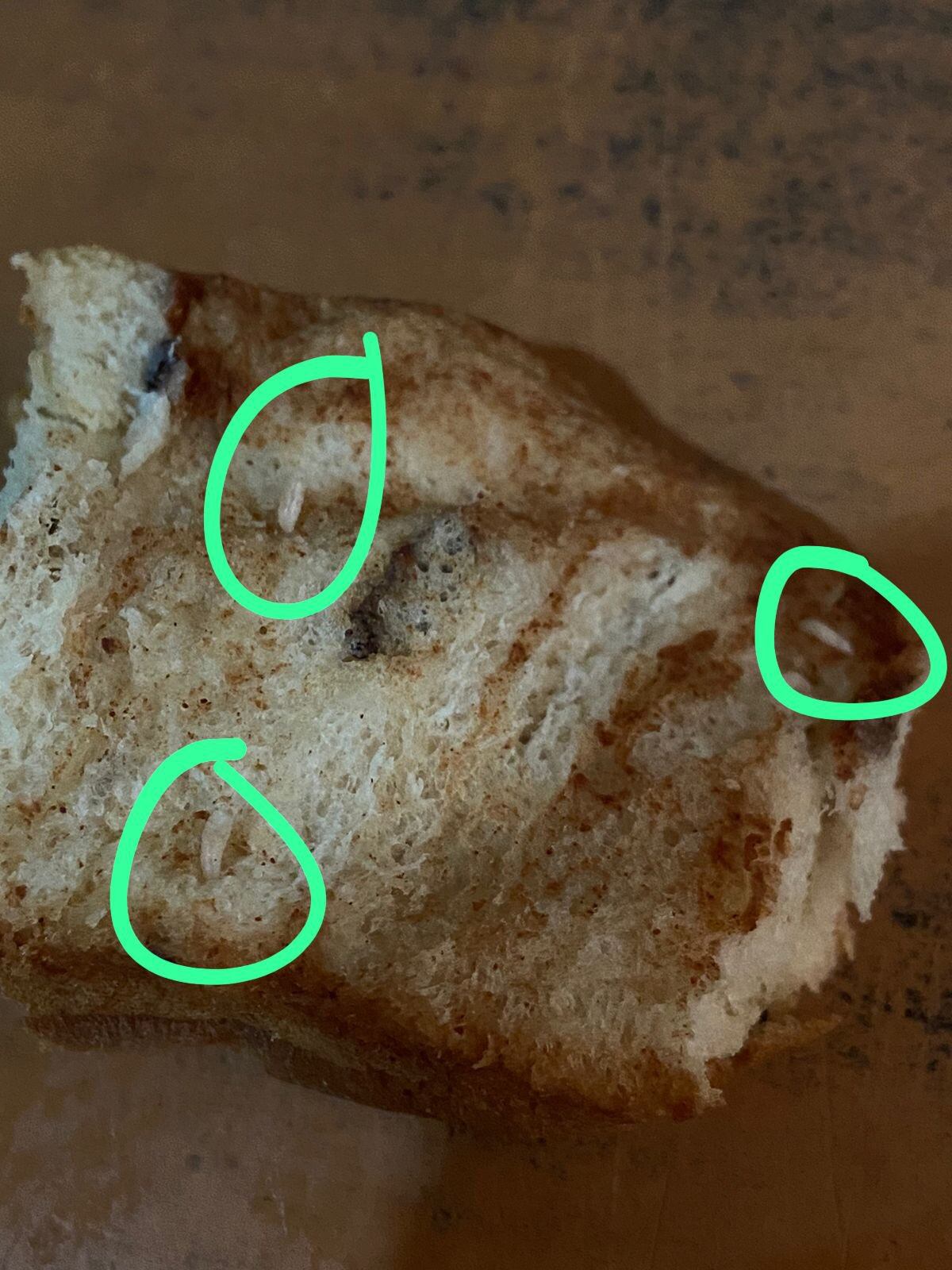 Gusanos en el pan de dulce