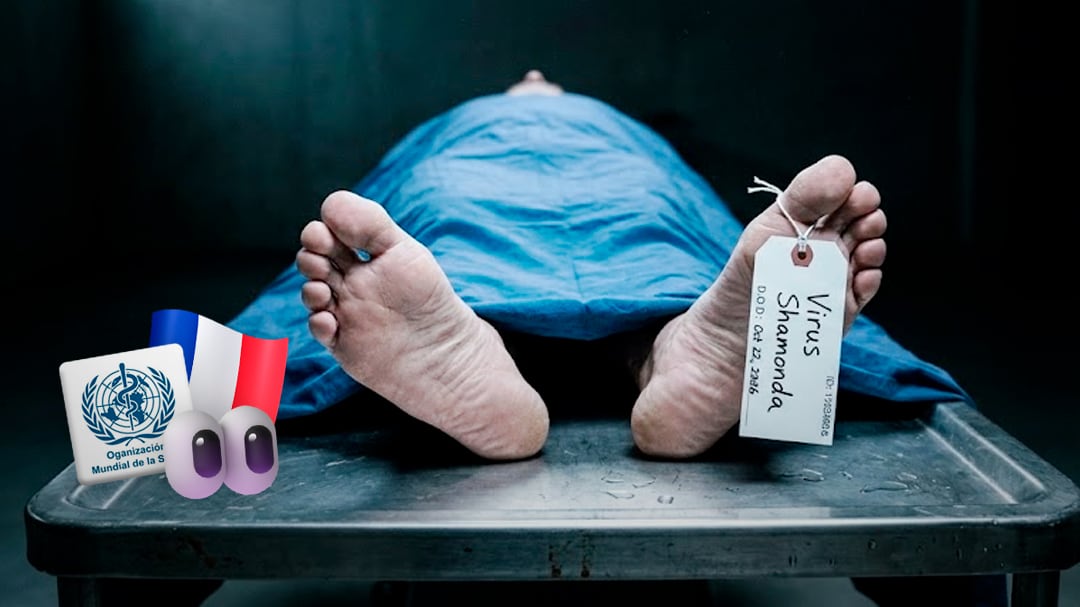 Virus Shamonda: muere el primer paciente infectado en Francia; OMS vigila el caso