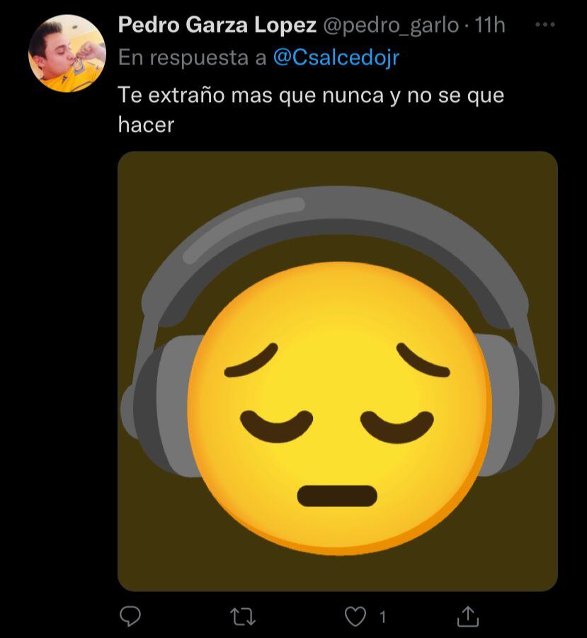 Los fans del Club Tigres extrañan a Salcedo en Tigres.
