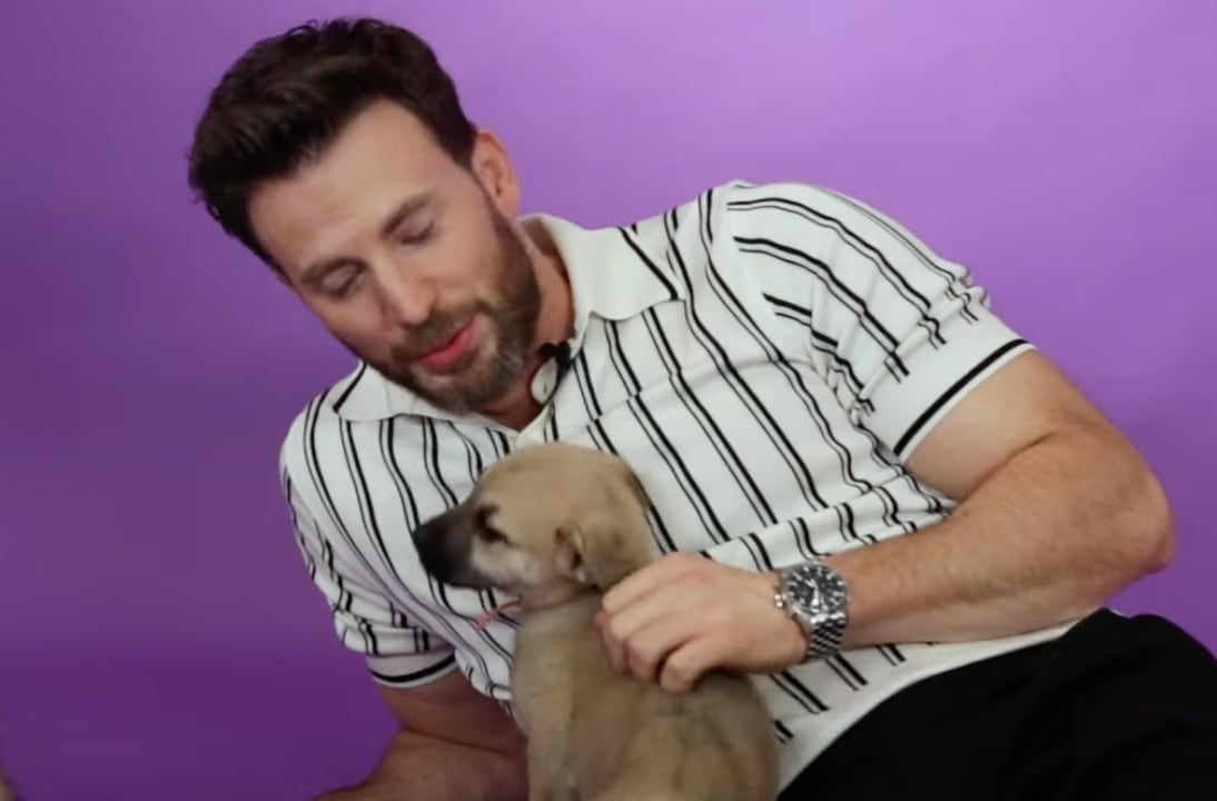 Chris Evans