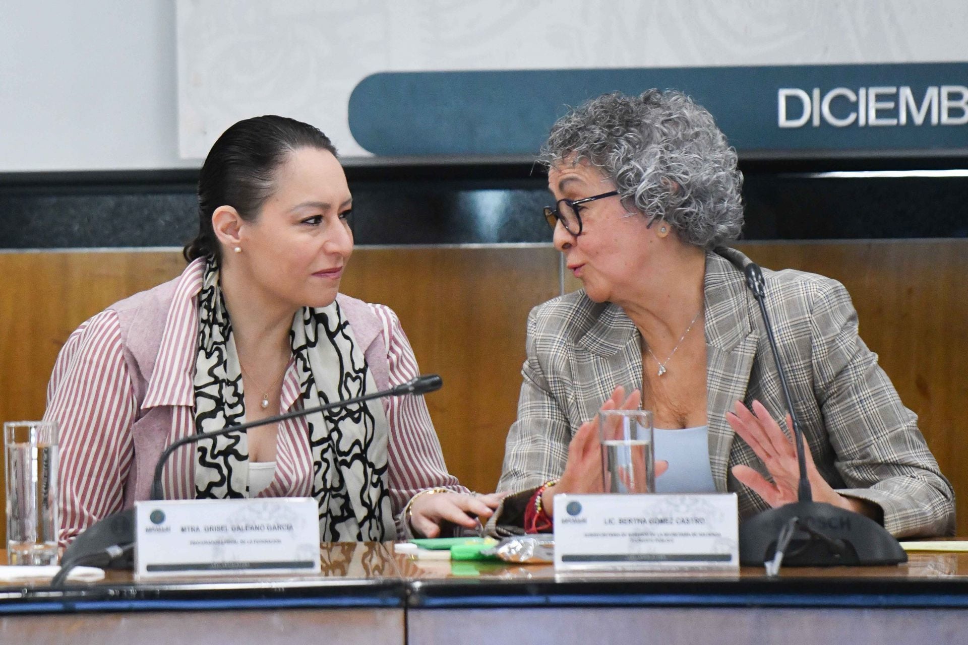 Bertha Gómez tiene todo el poder en México desde la SHCP