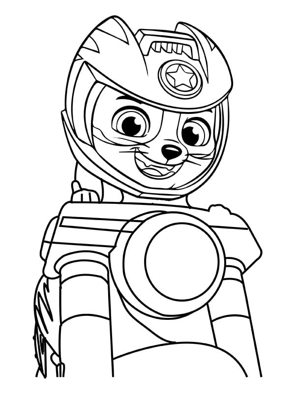 Cat Pack: 5 dibujos de los amigos de Paw Patrol que puedes colorear