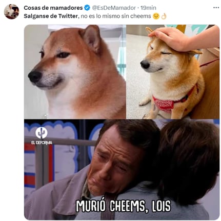 Memes lamentan la muerte de Cheems