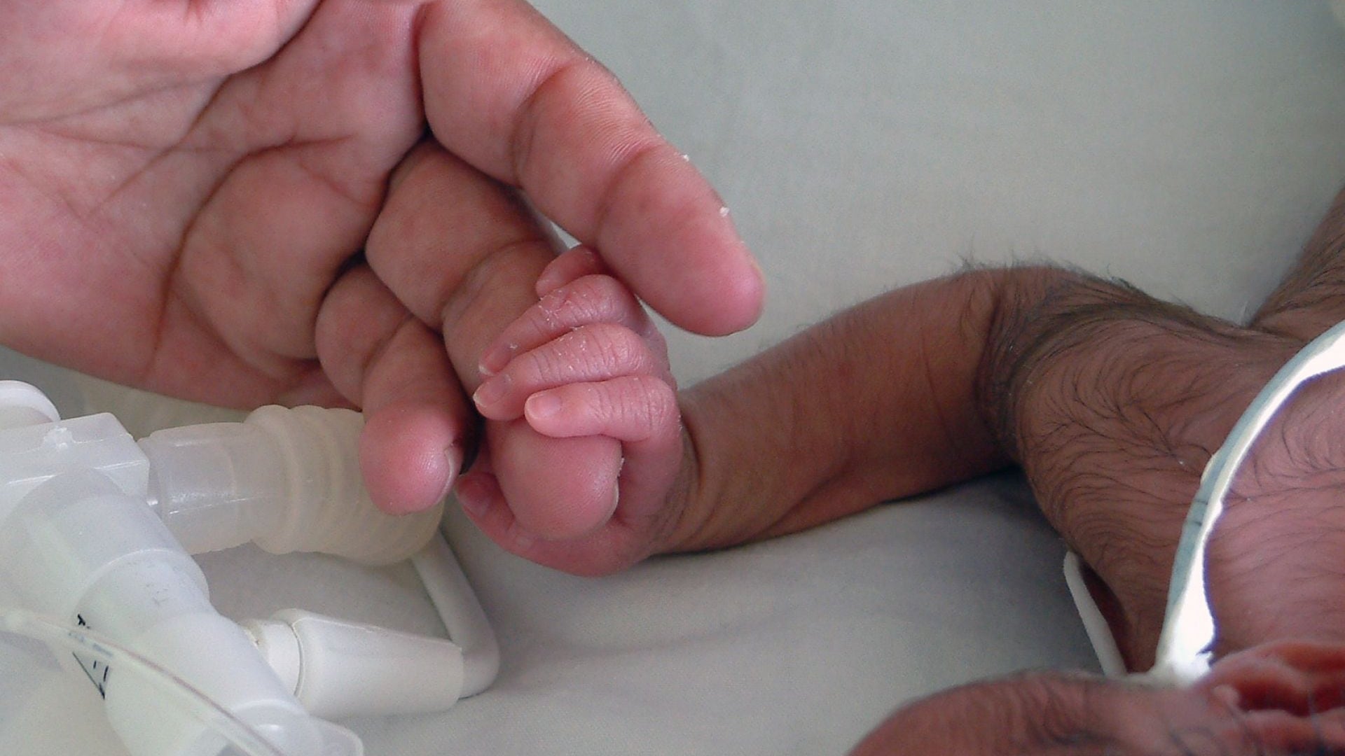 Padres de bebés fallecidos en IMSS Durango llevarán caso ante la FGR
