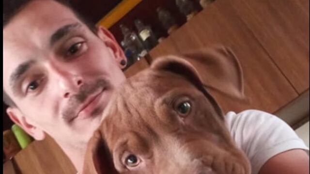 En Argentina, un secuestrador se roba a una perrita y después la devuelve